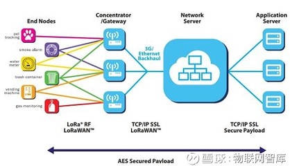 3分钟了解物联网三大技术的未来争夺战!